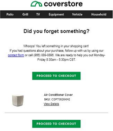 cart abandon email campaign copy sample